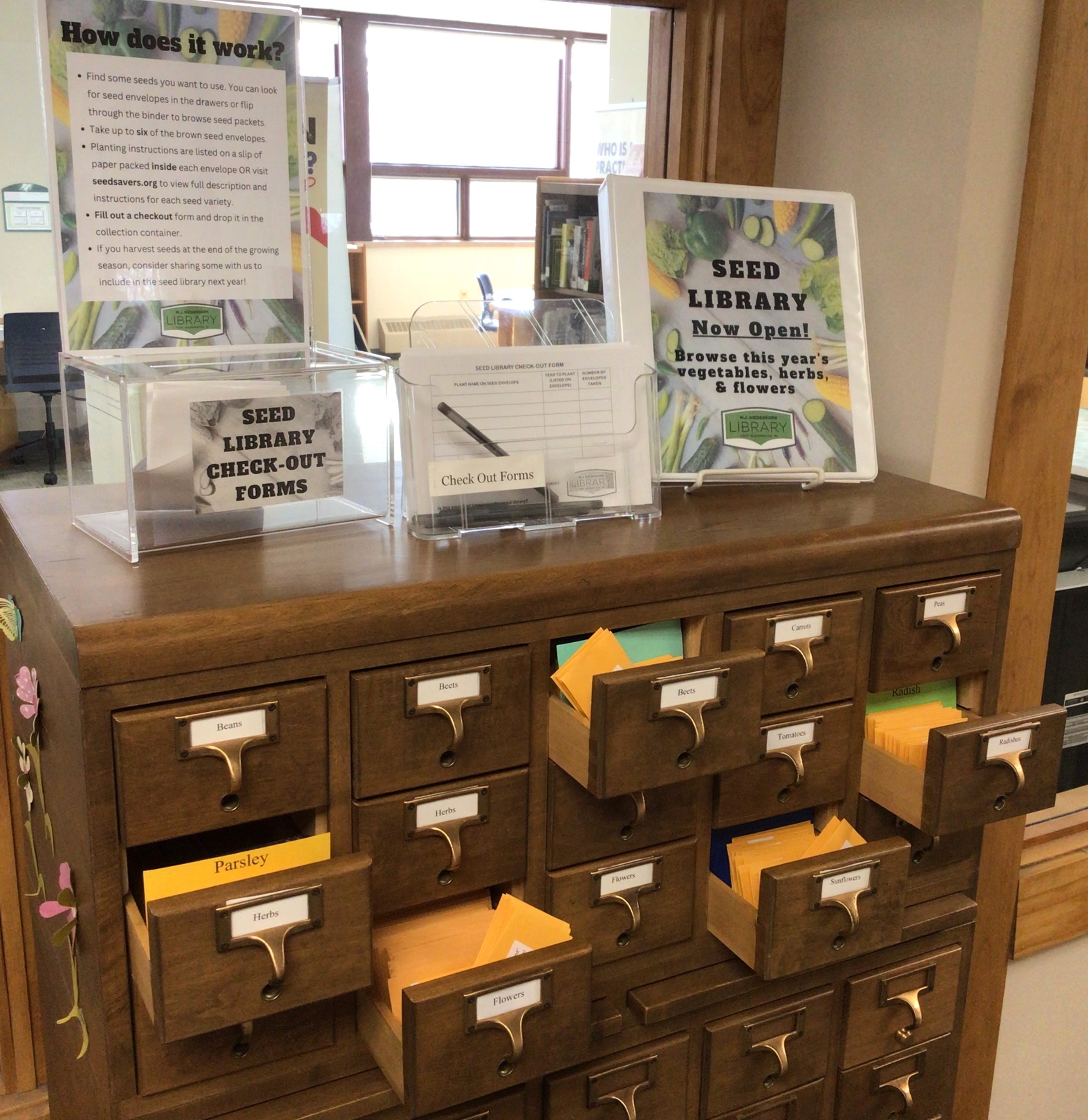 photo of our seed library in card catalog drawers