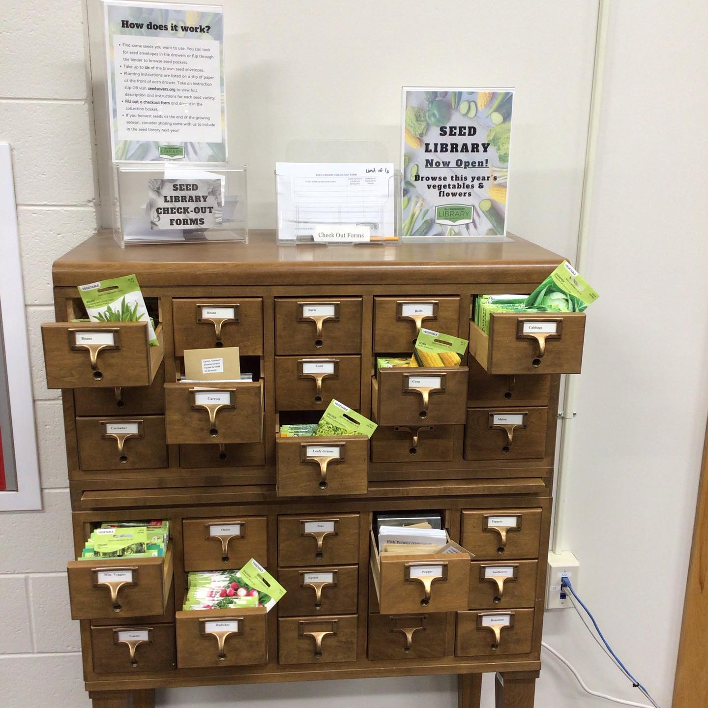 Photo of our seed library in an old card catalog with drawers open and seed packets showing