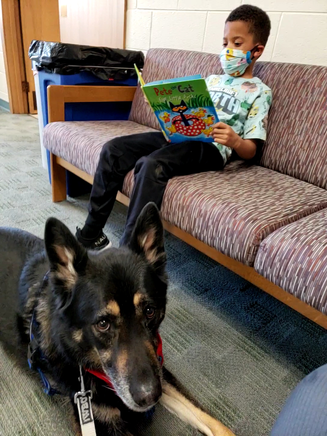 Child reading to therapy dog Diesel
